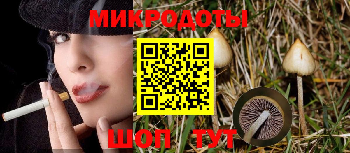 Псилоцибиновые грибы GOLDEN TEACHER  Вход с VPN  Псилоцибиновые грибы мухоморы  Оренбург 